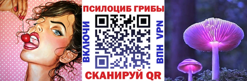 продажа наркотиков  Меленки  Псилоцибиновые грибы мицелий 